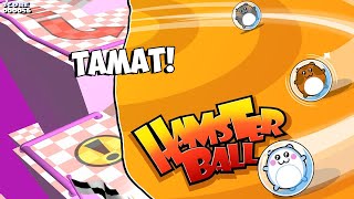 GAME TIKUS DAJAL TAMAT! Hamsterball