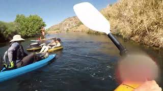Lower Salt River Kayaking, June 3, 2024