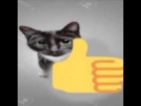 Cool Cat Thumbs Up Youtube Thumbs Up Thumbs Up Emoji Thumbs Up Icon