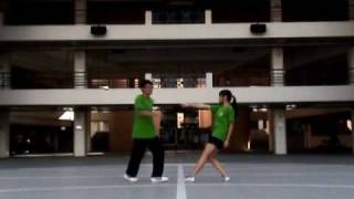 Athena Faculty Dance 2010 (Back View)