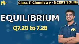 Famous Equilibrium Class 11 Chemistry | Chapter 7 Ncert Solutions Questions 20-28 Net Worth
