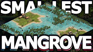 The Smallest Mangrove Jungle Ever!