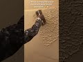 Create a stunning wall texture design with expert stucco techniques! ✨🏠 #WallArt #DIY #viralvideo