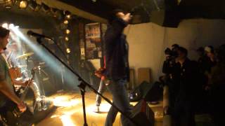 20130413 Animal Anthem - (1)