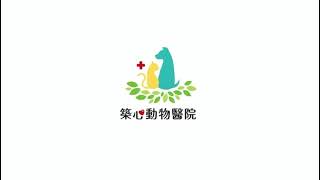 因口炎不吃飯而暴瘦的貓咪