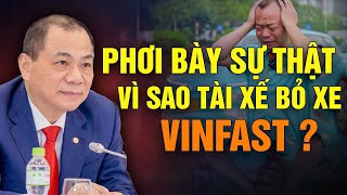Why Are Drivers Abandoning VinFast Cars? The Truth Is Revealed! News Warehouse
