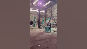 Customers come to the factory to inspect the palletizing robot#unpackingmachine #palletizingrobot