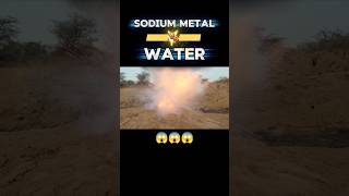 SODIUM METAL VS WATER 💥 | #sodiummetal #experiment #shorts #shortsfeed #yt #ytshorts