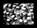 Capture de la vidéo Apskaft Battleship Potemkin - 06 [ Speculativism ] - Captain's Speech And Preparing For Executions