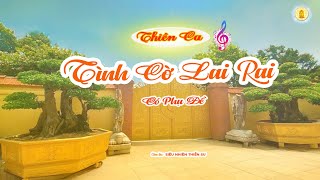 Tình Cờ Lai Rai (Phiên Bản 1)  - Thoáng Sư Thích Tuệ Hải  -  Chùa Long Hương