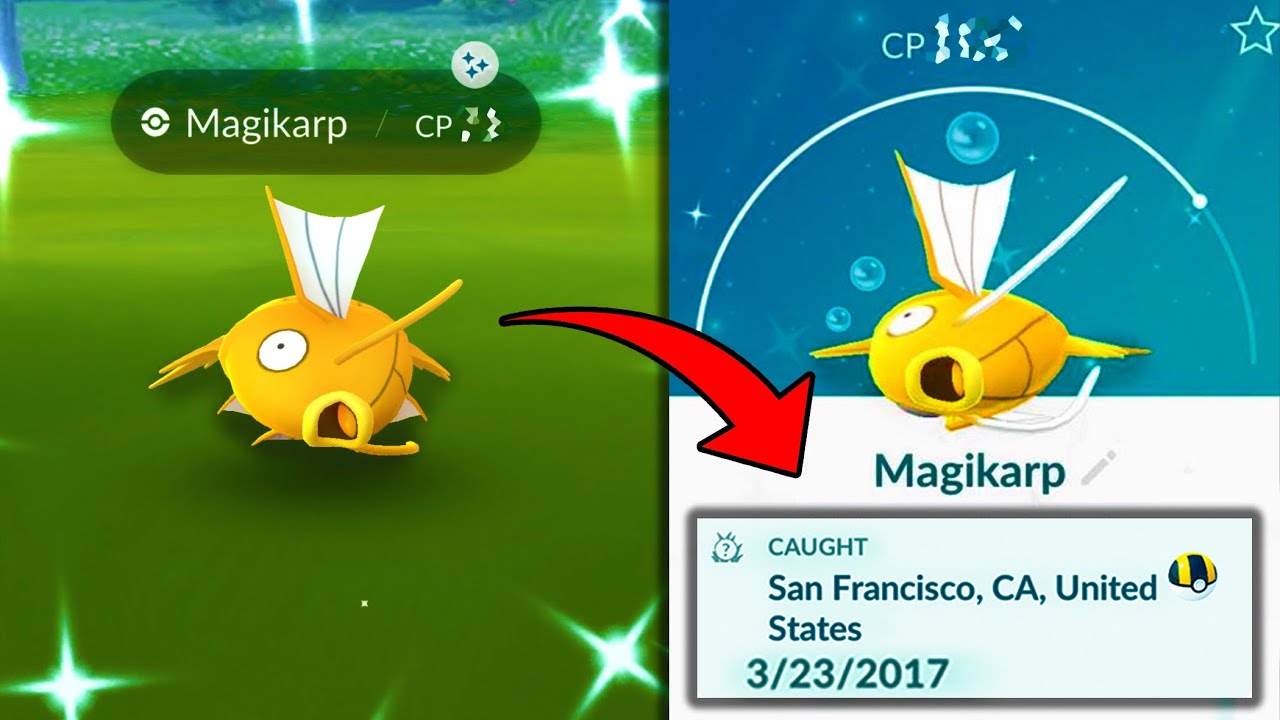 Shiny Magikarp pode ser encontrada em Pokémon GO - Pokémothim