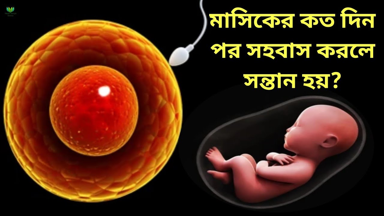 Ipak liboslardagi lezbiyenlar Keksa alkogolli uysiz ayol oz mushukini Internetda korsatmoqda.