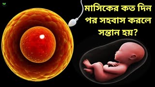 মাসিকের কত দিন পর সহবাস করলে বাচ্চা হয়?| বাচ্চা হওয়ার জন্য কখন সহবাস করতে হয়?| বাচ্চা নেয়ার সঠিক বয়স