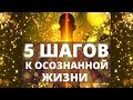 5 ШАГОВ К ОСОЗНАННОЙ ЖИЗНИ  | ЭТО ПОМОЖЕТ ВАМ ПРИ ПЕРЕХОДЕ