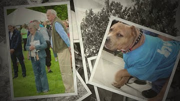 NAMI May 20, 2017 Walk, Bushnell Park, Hartford, CT