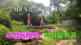여름에 걷기좋은 서울 도심속 비경  수성동계곡 백사실계곡/한양도성길/인왕산자락길/#수성동계곡  #백사실계곡  #백석동천  #청운문학도서관 #한양도성길 #부암동능금마을