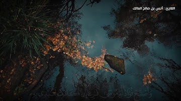 تلاوة تلامس القلب 💚 ﴿فَرَدَدْناهُ إلى أُمِّهِ كَيْ تَقَرَّ عَيْنُها ولا تَحْزَنَ .. ﴾