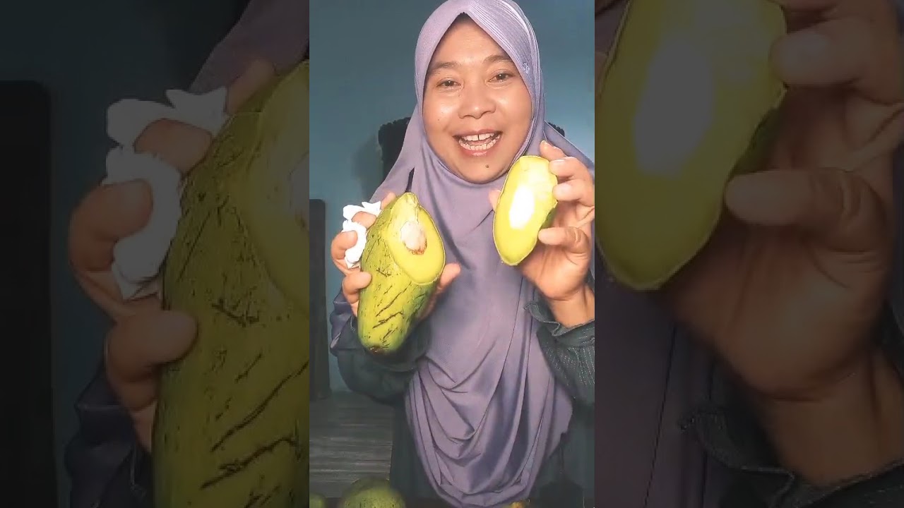 alpuket mentega legiits