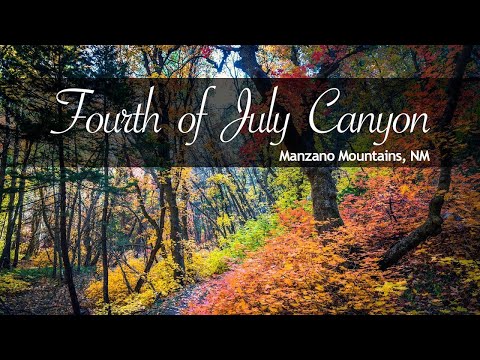 Video: Fourth of July Canyon nær Albuquerque
