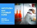 Что лучше - корм или натуральная еда для собак и кошек?