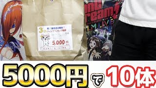5000円でこのレベルのフィギュアが10体！？アニメジャンクフィギュア福袋開けてみた