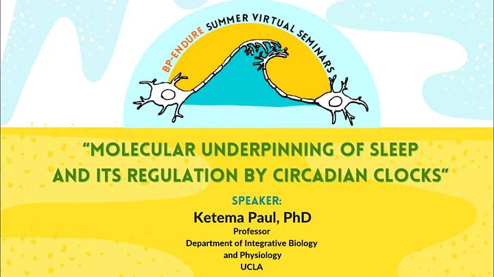 BP-ENDURE Summer Virtual Seminars ft. Ketema Paul,...