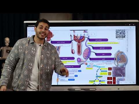 التكاثر في الانسان تركيب الجهاز التناسلي الذكري و تكوين الحيوانات المنويه ثانوية عامة 2023