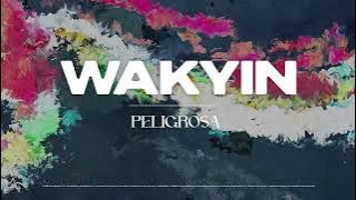 Wakyin - Peligrosa [Ultra Records]