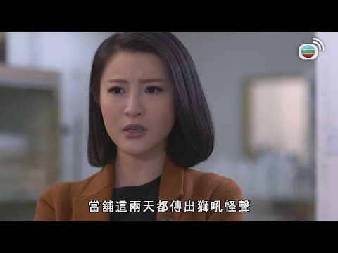 【鬼節特輯】十二傳說｜石獅成精殺人事件｜科幻｜神秘｜都市傳說｜港劇｜TVB港劇精華｜鬼節｜靈異事件