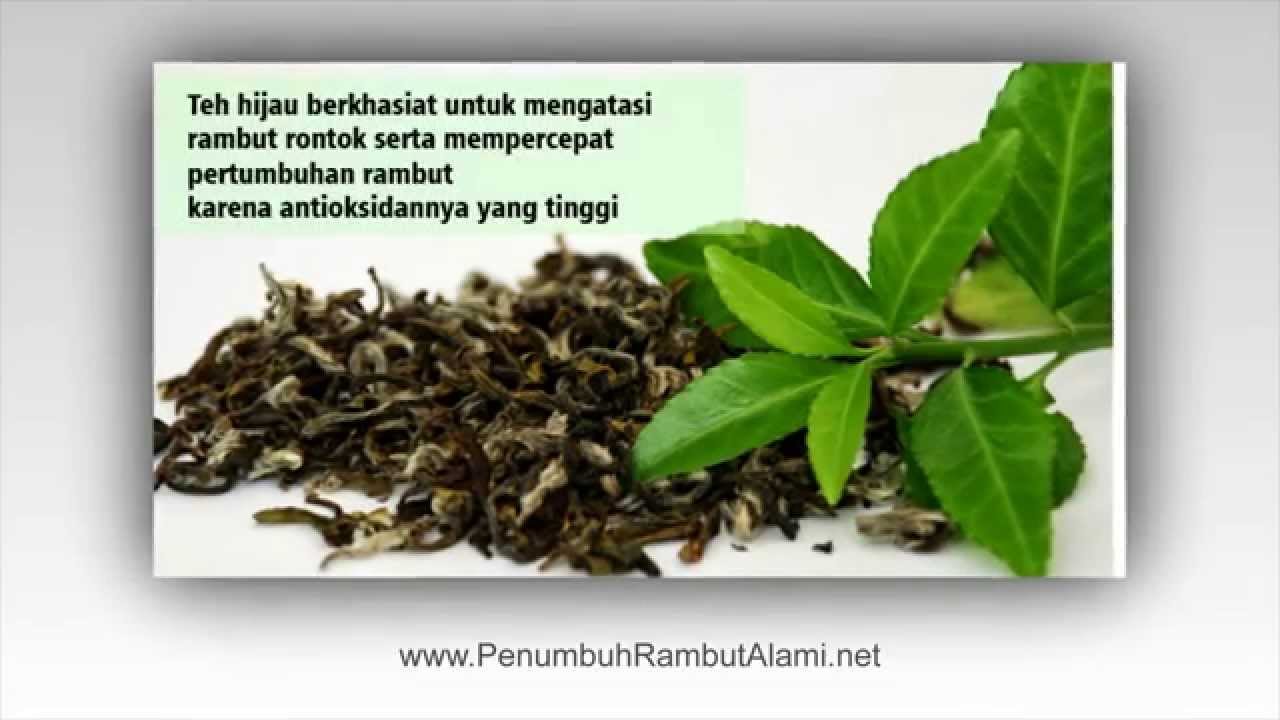 Penumbuh Rambut Tradisional Tercepat Obat Herbal Untuk Rambut Botak