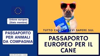 European dog passport: how to apply for one and what to do!