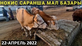 НОКИС САРАНША МАЛ БАЗАРЫ 2022/СКОТНЫЙ РЫНОК/BUQALAR/BIG BULLS IN THE WORLD/BIG COW