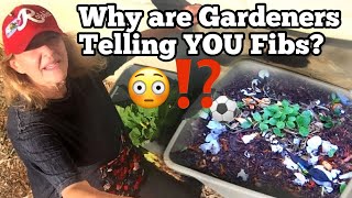 Beware of Container Gardening Methods as Gardener Reacts to Videos Growing a Vegetable Garden Setup