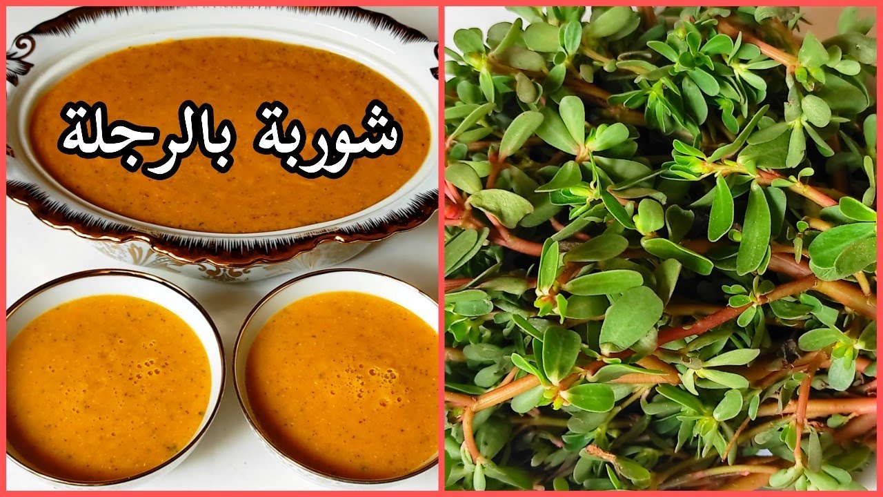 شوربة الرجلة الصحية (شوربة البقلة)/ Healthy purslane soup/Soupe au pourpier