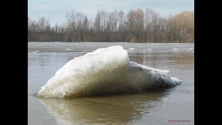 Ледоход на реке Суре-2024! Ice drift on the Sura River-2024