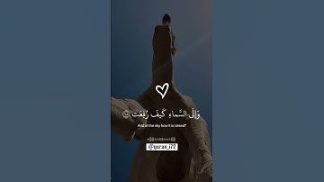 افلا ينظرون الى الابل كيف خلقت | ‎تلاوة هادئة | القرآن الكريم | quran i72 | عبدالرحمن مسعد