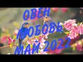 ОВЕН ❤️ ЛЮБОВЬ/ Прогноз на отношения май 2022