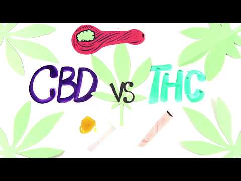 [Generic] What is the difference between CBD and THC - by AsapSCIENCE