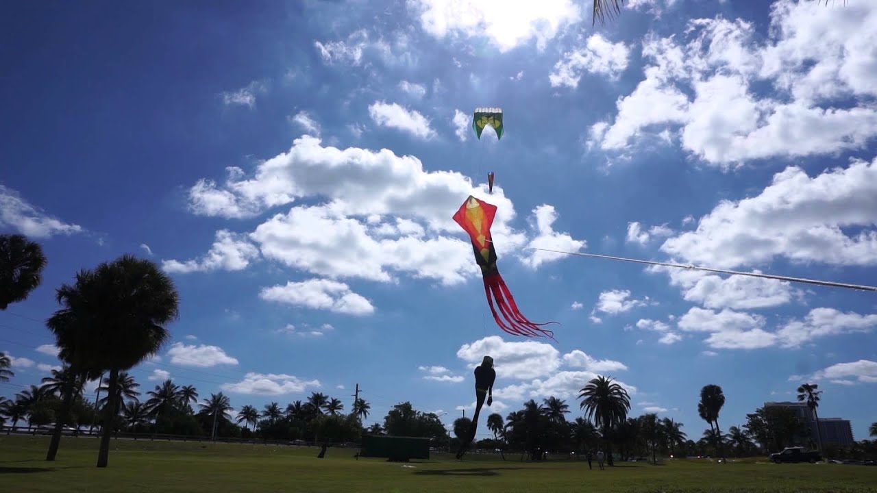 Haulover Park Show Kites Test YouTube