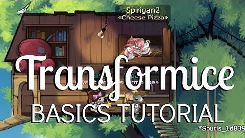 Transformice Basics Tutorial! | Spiri