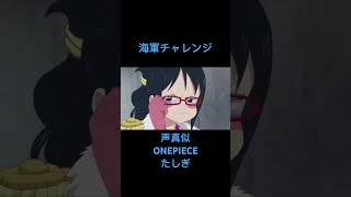 海軍チャレンジ 声真似 ONEPIECE たしぎ