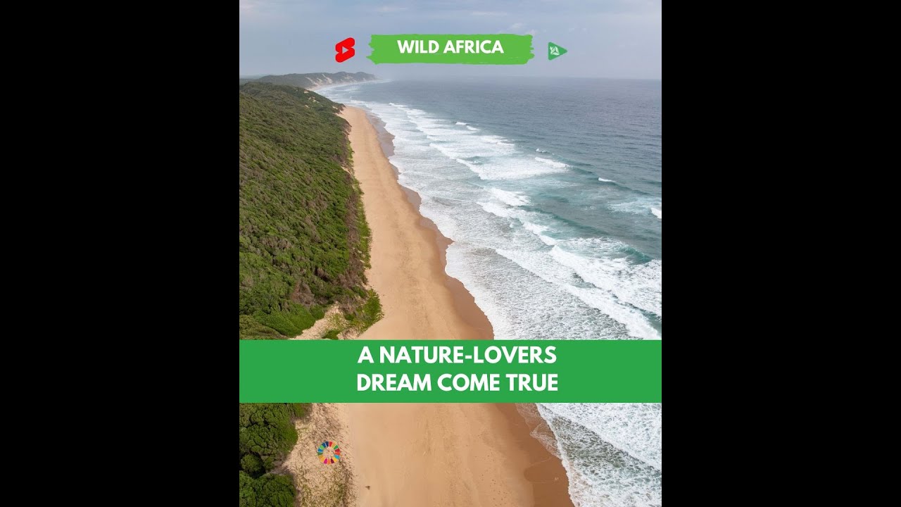 Wildlife Thriving in Maputo National Park