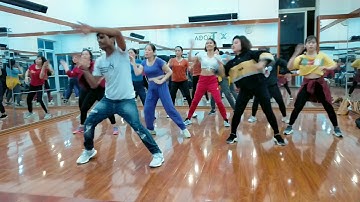 Dan Balan - Numa Numa 2 | Zumba Fitness Dance | Shankarstyle