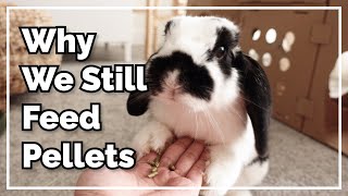Celebrity Why We Haven't Gone Pellet-Free Profile
