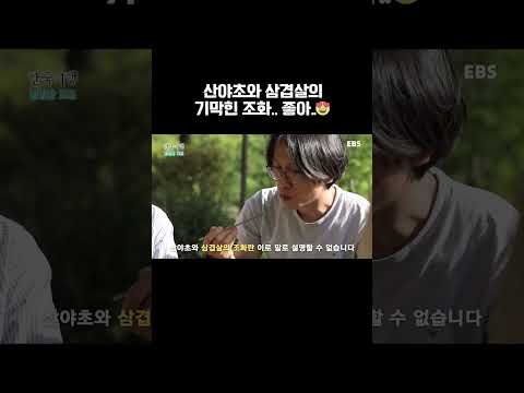 자꾸만 손이 가는 <strong>산야초</strong> 삼겹살 구이 #shorts #한국기행 #삼겹살 #<strong>산야초</strong> #EBS