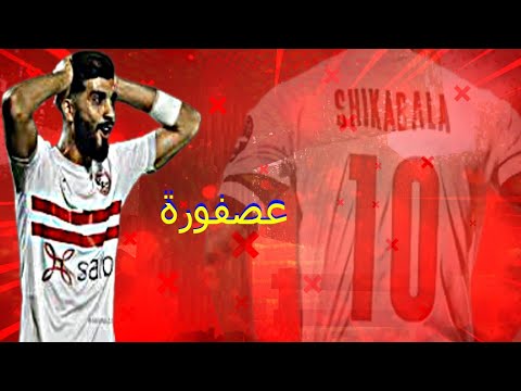 عصفورة النسخه الزملكاويه بتنقلي الكلام دي مش رجوله Hd 2021