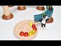 *Marble Run マーブルラン ASMR* Rainbow color track ＆ Marble rolling sound