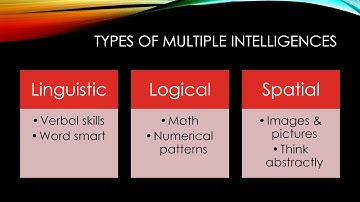 Multiple Intelligences project