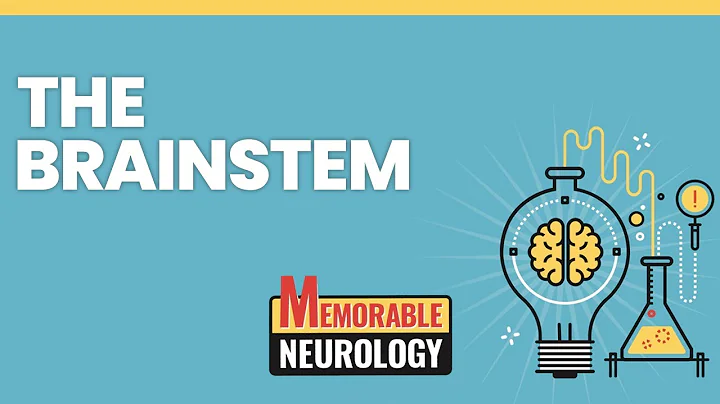 Brainstem (Midbrain, Pons, and Medulla) Mnemonics (Memorable Neurology Lecture 7)