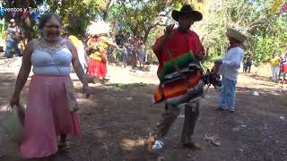 Amanzando el macho, en San Cristobal Municipio de Tlacoachistlahuaca.